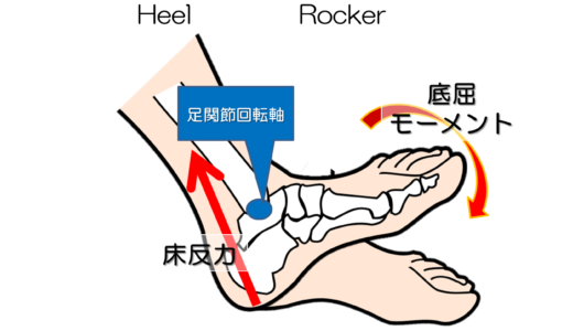 歩行における踵接地に必要な前脛骨筋への刺激方法