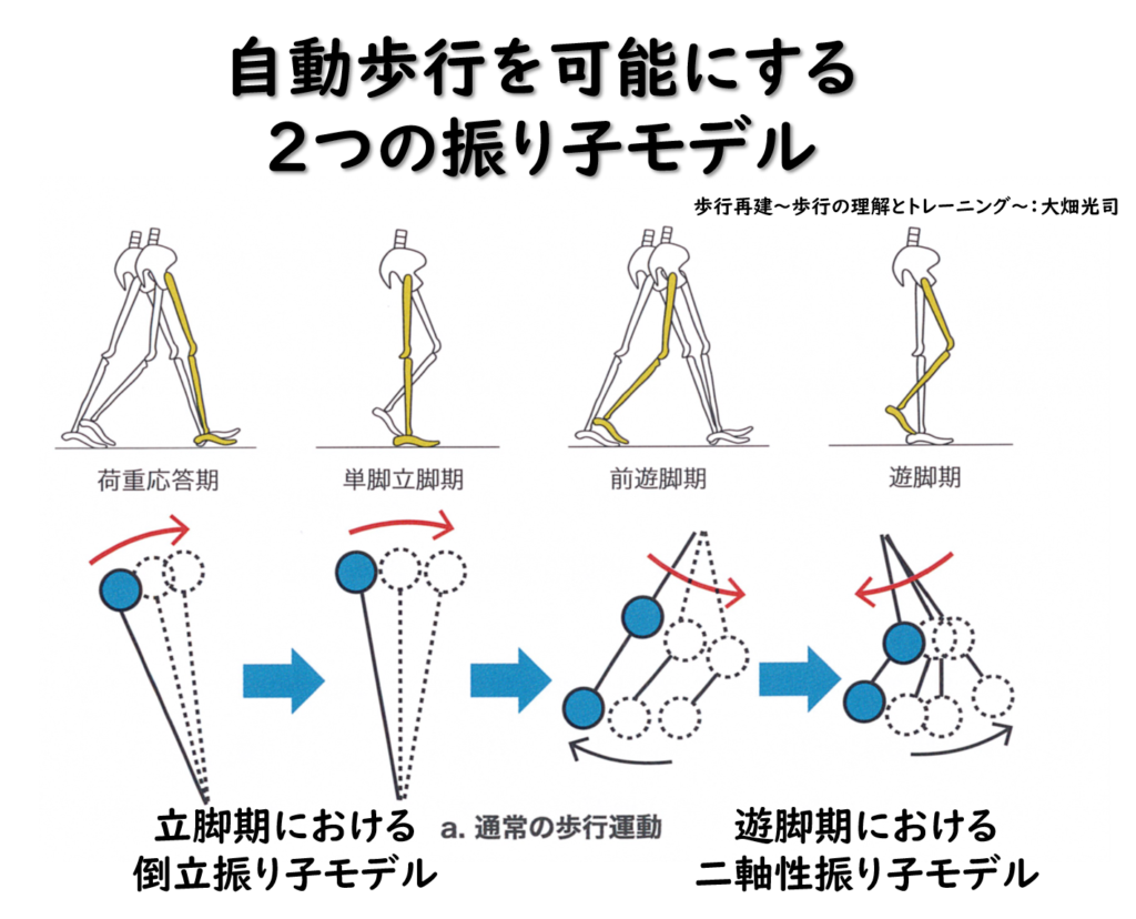 19年度第1回歩行セミナーレポート 踵接地編 公開中 脳外臨床研究会